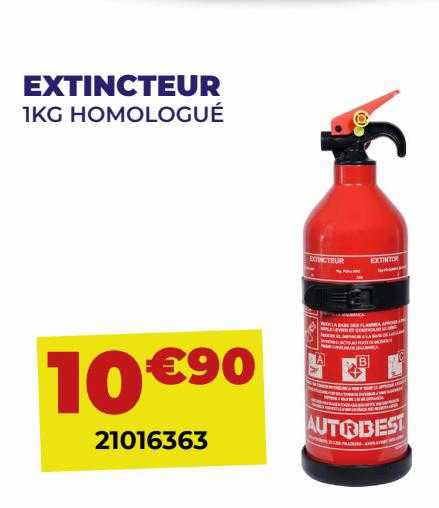 extincteur 1kg homologué