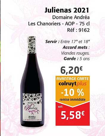 julienas 2021 domaine andréa les chanoriers - aop