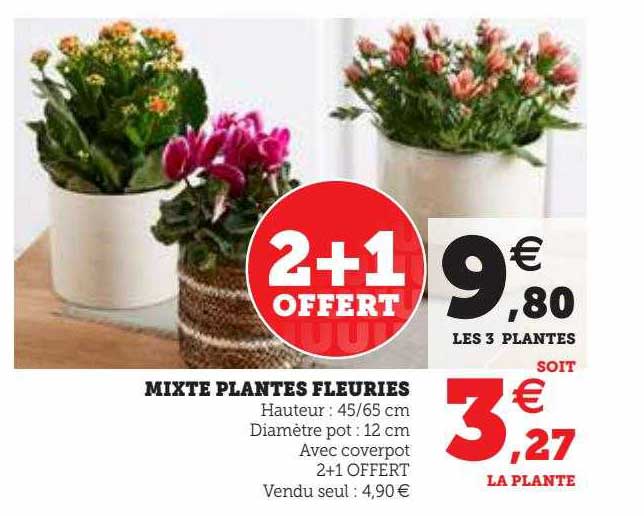 mixte plantes fleuries