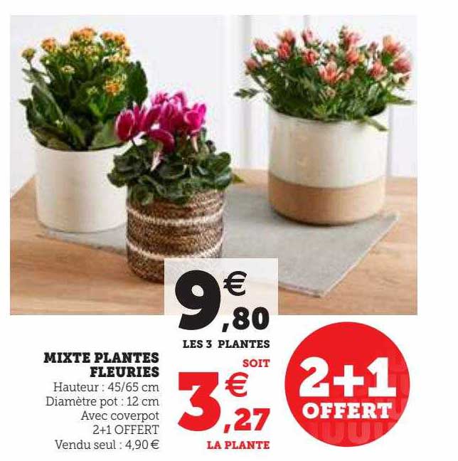 mixte plantes fleuries