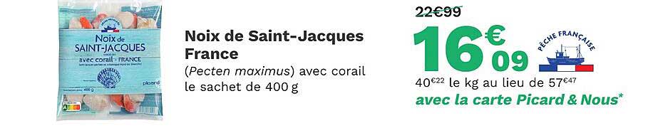 noix de saint-jacques france