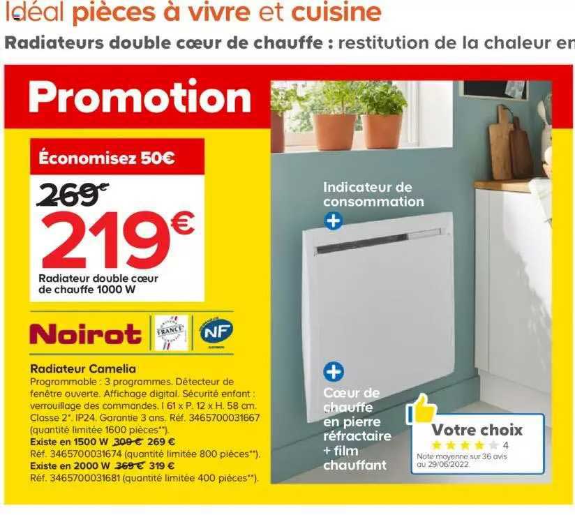 radiateur double cœur de chauffe 1000w camelia noirot