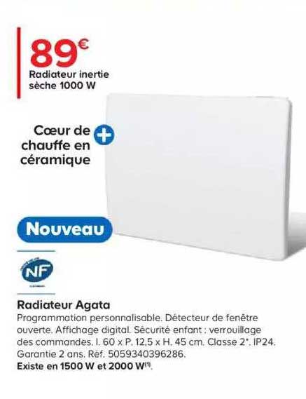 Radiateur Inertie Sèche 1000w Agata