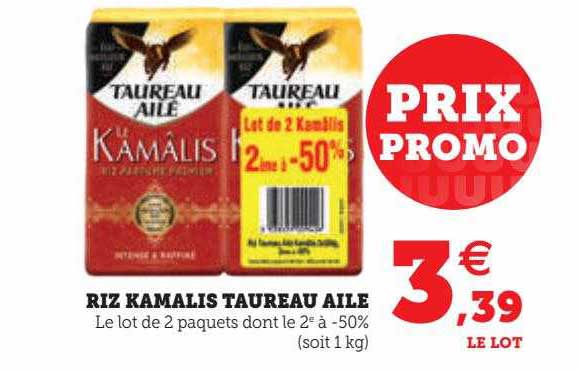 riz kamalis taureau ailé