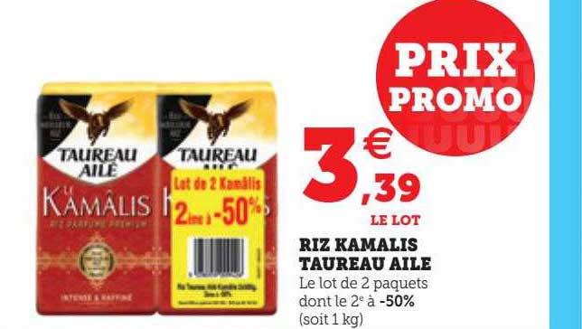 riz kamalis taureau ailé