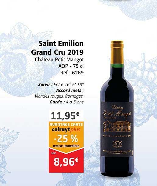 saint émilion grand cru 2019