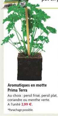 aromatiques en motte prima terra