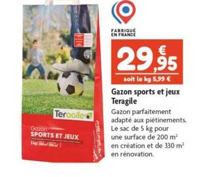 gazon sports et jeux teragile