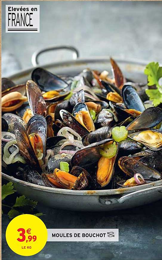 Moules De Bouchot