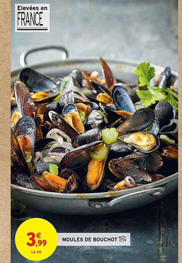 Moules De Bouchot