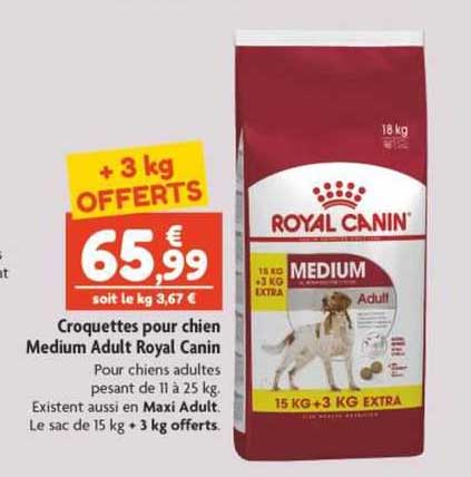 Roquettes Pour Chien Medium Adult Royal Canin