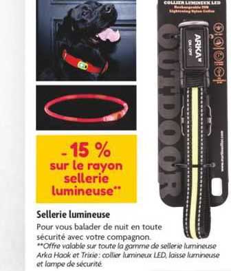 sellerie lumineuse