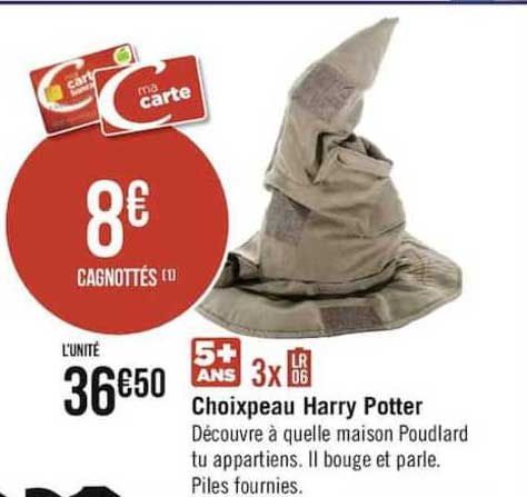 choixpeau harry potter
