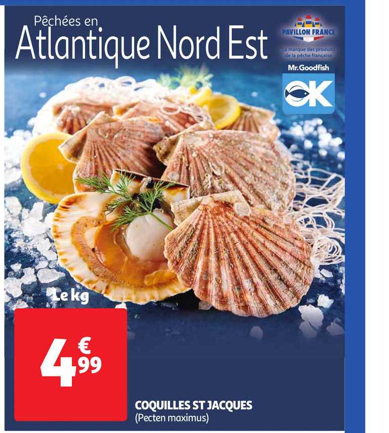 Coquilles St Jacques