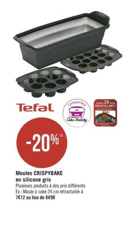 Tefal Moules Crispybake En Silicone Gris