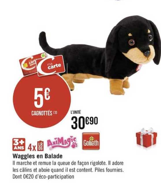 waggles en balade animagic