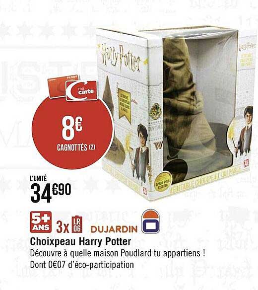 choixpeau harry potter dujardin