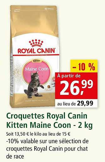 croquettes royal canin kitten maine coon - 2 kg