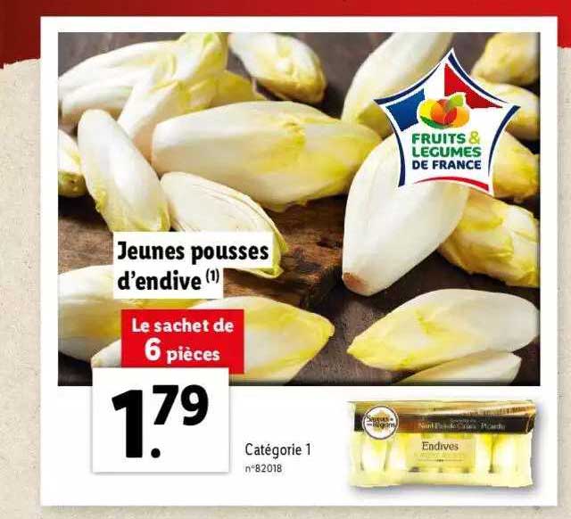 jeunes pousses d'endive