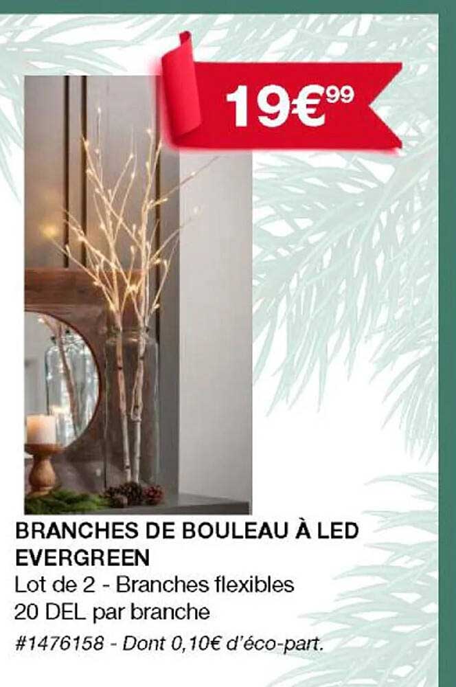 branches de bouleau à led evergreen