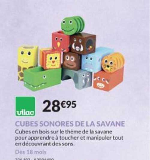 Cubes Sonores De La Savane