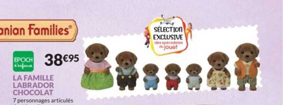 epoch la famille labrador chocolate