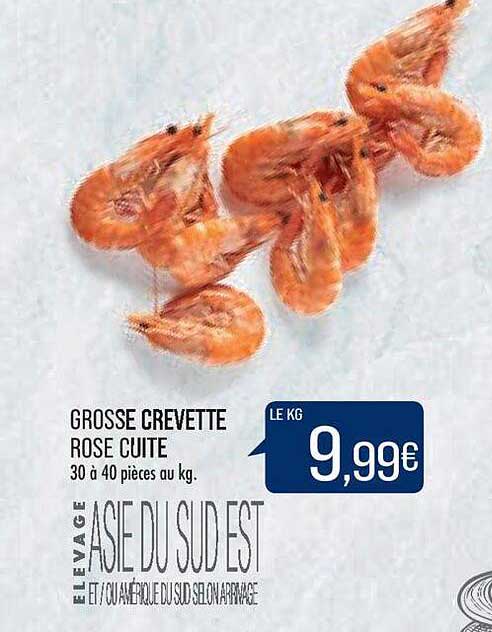 grosse crevette rose cuite