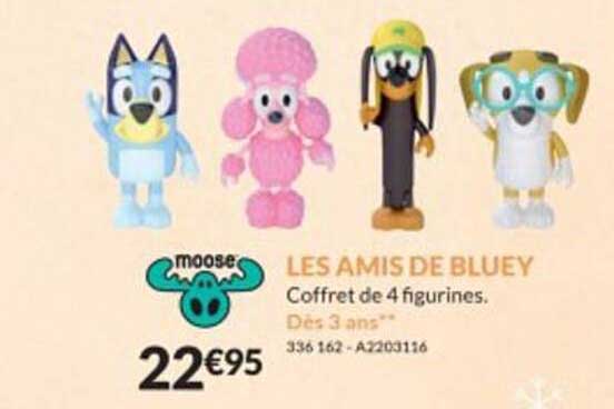 les amis de bluey moose