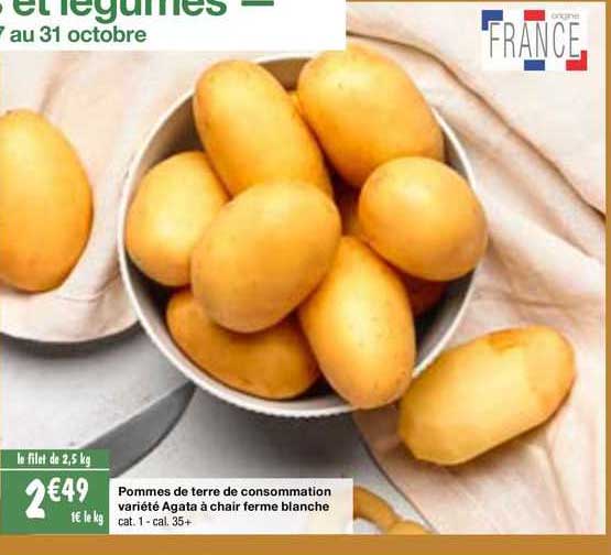 pommes de terre de consommation variété agata à chair ferme blanche
