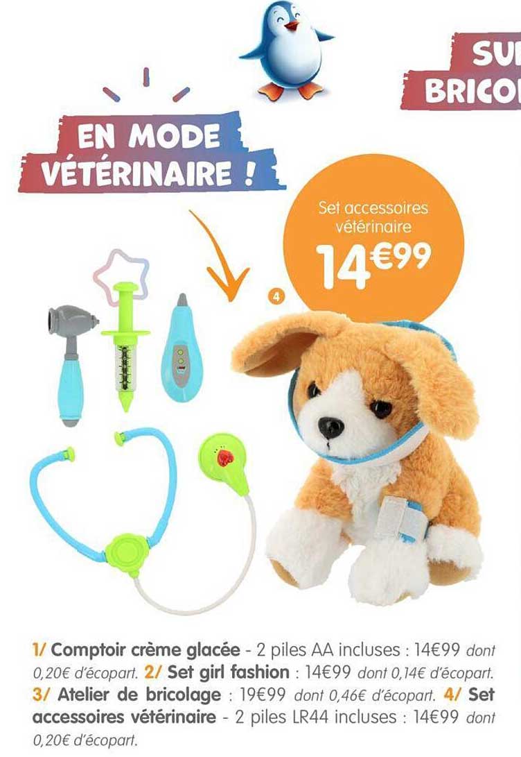 Set Accessoires Vétérinaire