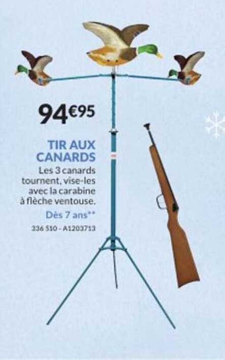 tir aux canards