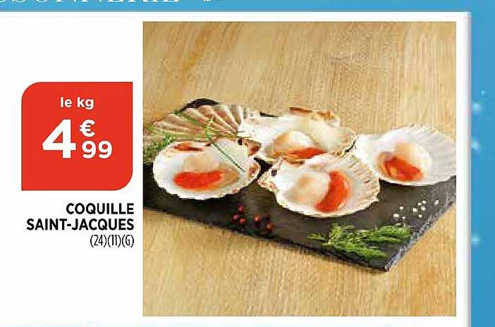 coquille saint jacques
