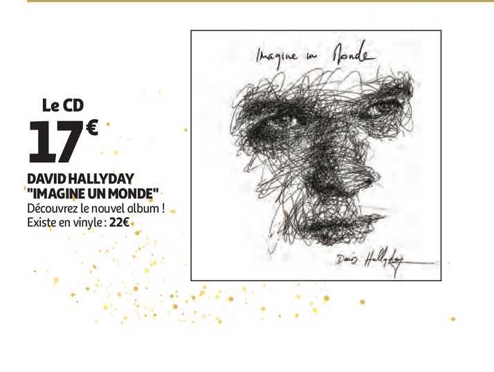 david hallyday "imagine un monde"