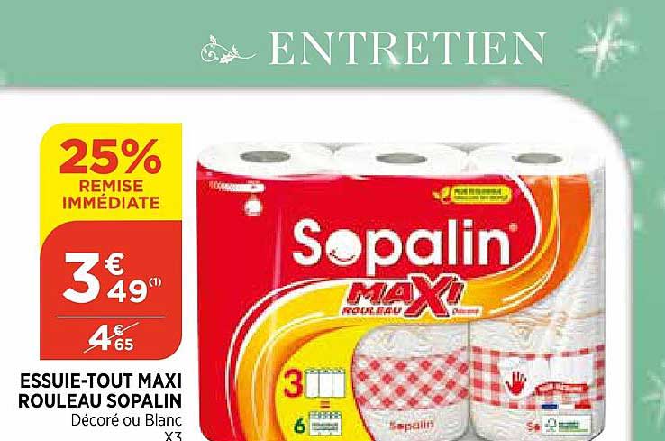 essuie-tout maxi rouleau sopalin