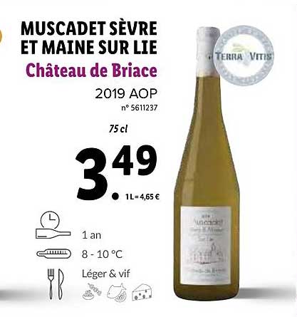 muscadet sèvre et maine sur lie château de briace