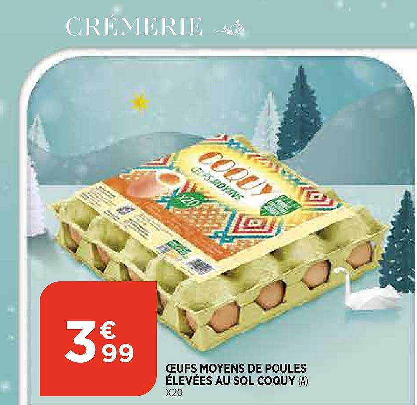 œufs moyens de poules élevées au sol coquy