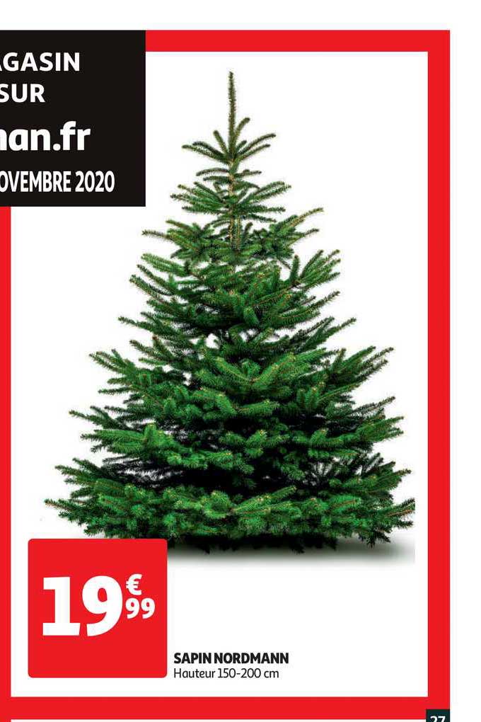 sapin nordmann