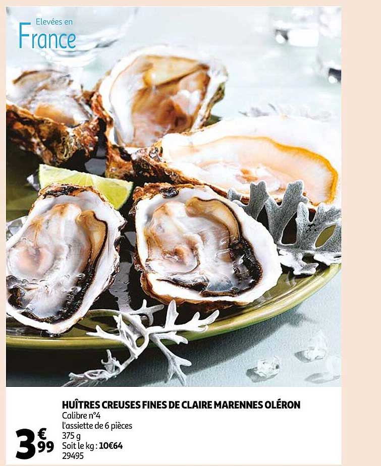 huîtres creusés fines de claire marennes oléron