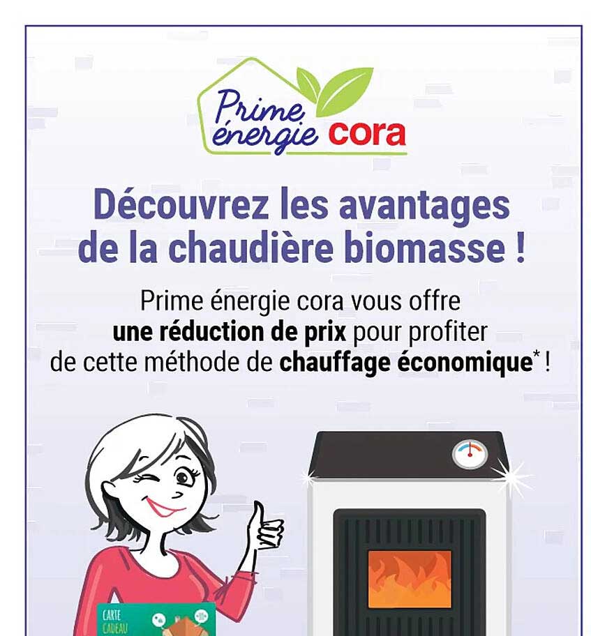 les avantages de la chaudière biomasse !