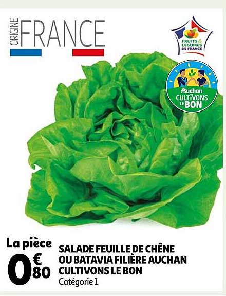 salade feuille de chêne ou batavia filière auchan cultivons le bon