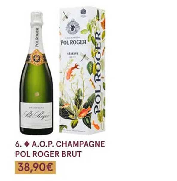 a.o.p. champagne pol roger brut