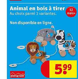 Animal En Bois à Tirer Playing Kids