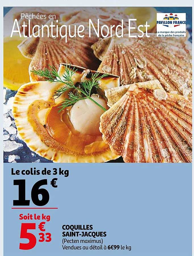 coquilles Saint-Jacques