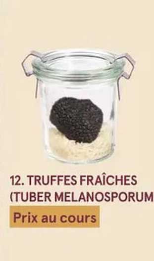 Truffes Fraîches (tuber Melanosporum)
