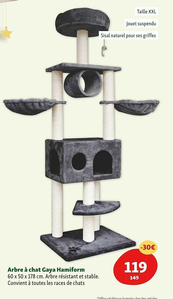 arbre à chat gaya hamiform