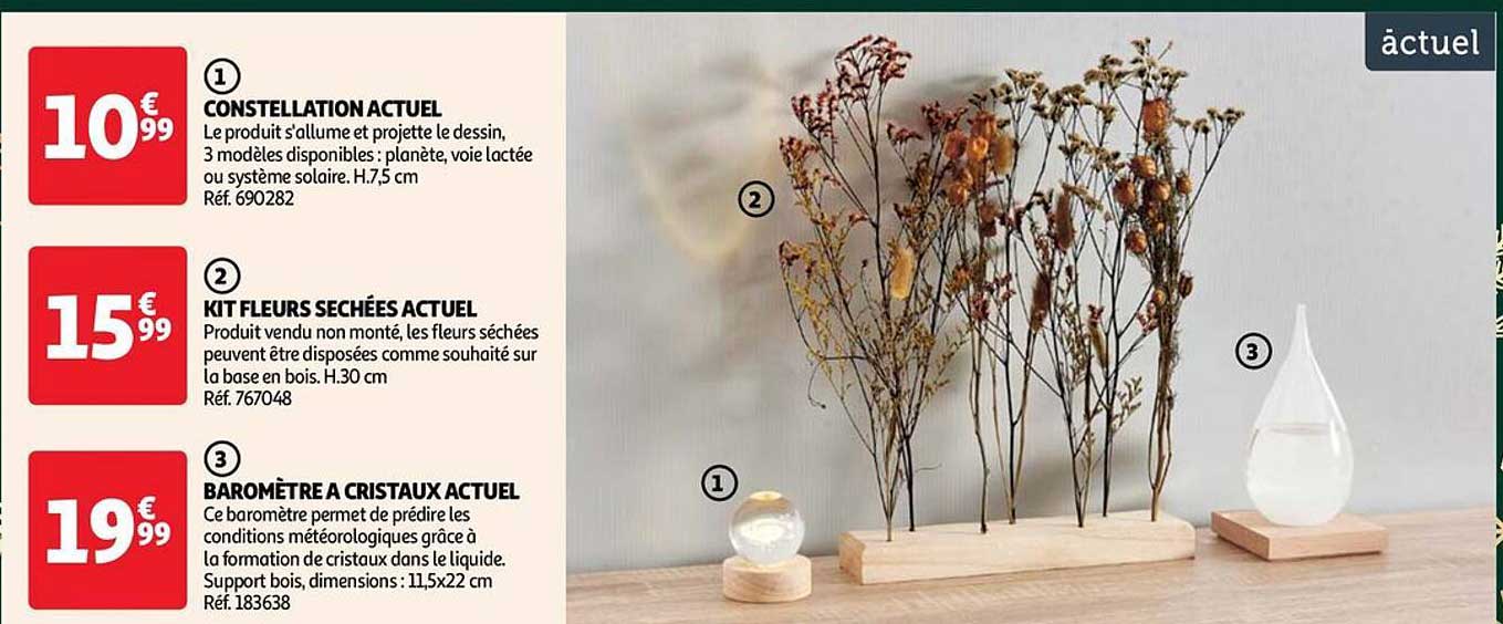 constellation actuel, kit fleurs séchées actuel, baromètre à cristaux actuel