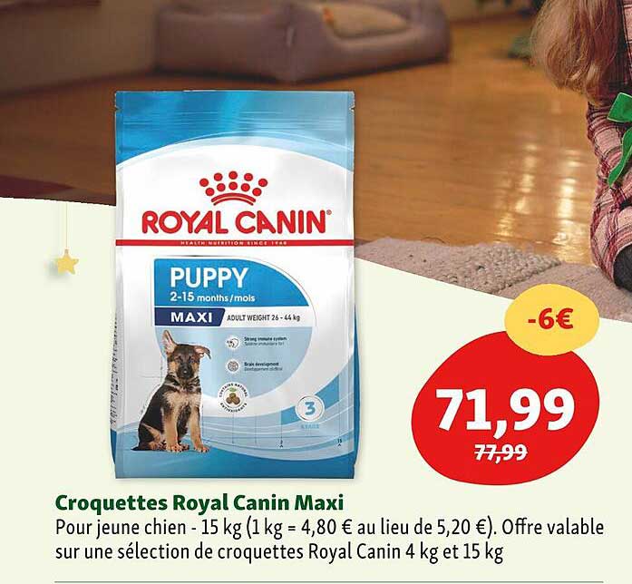croquettes royal canin maxi