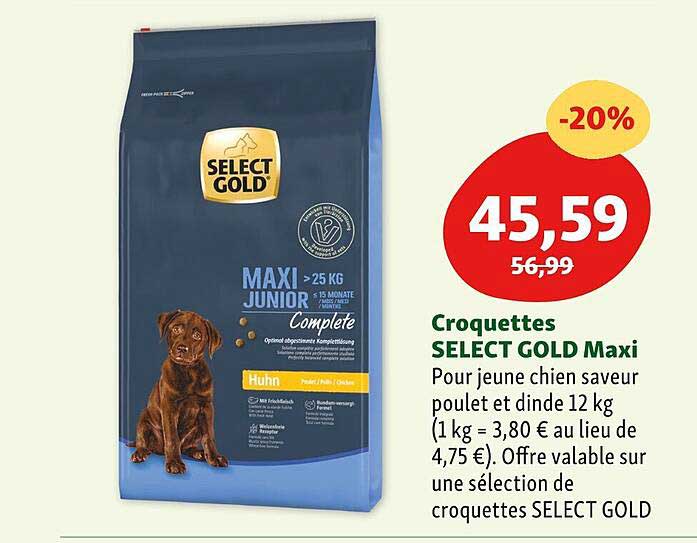 Croquettes Select Gold Maxi