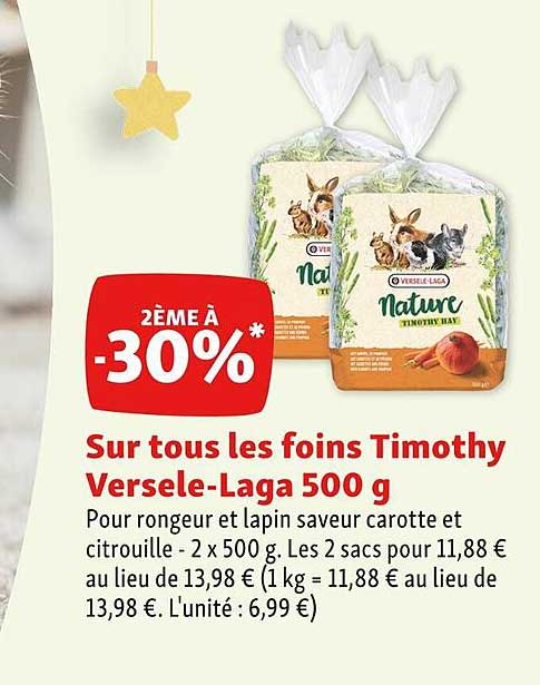 foins timothy versele-laga
