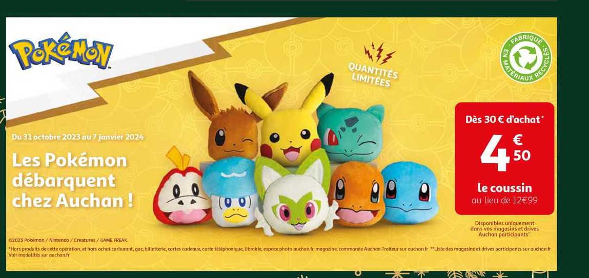 les pokémon débarquent chez auchan ! : le coussin